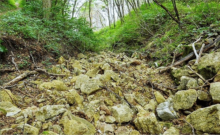 岩がたくさん転がっている山の写真