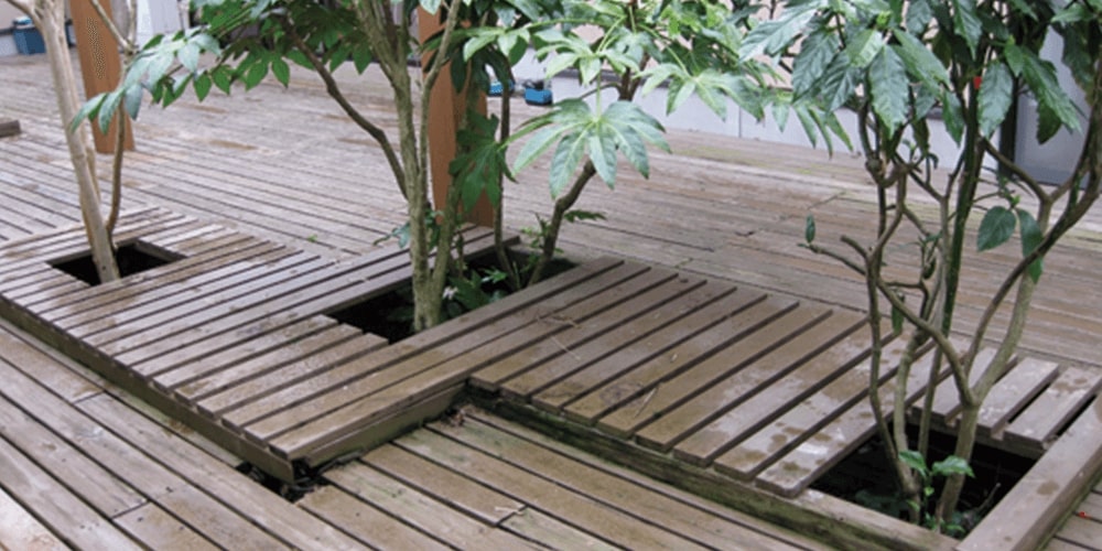 木が生えたウッドデッキの写真